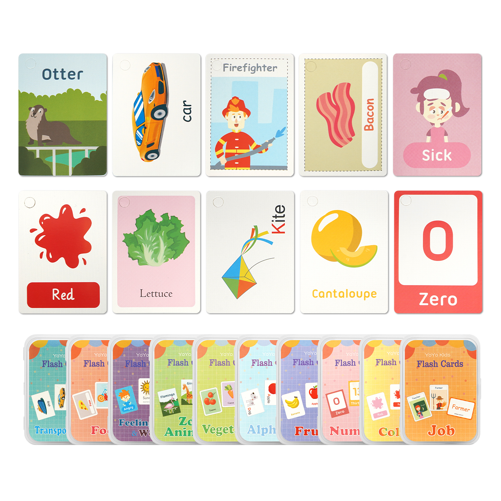フラッシュカード 英語 10種 2個セット 英語カード モンテッソーリ