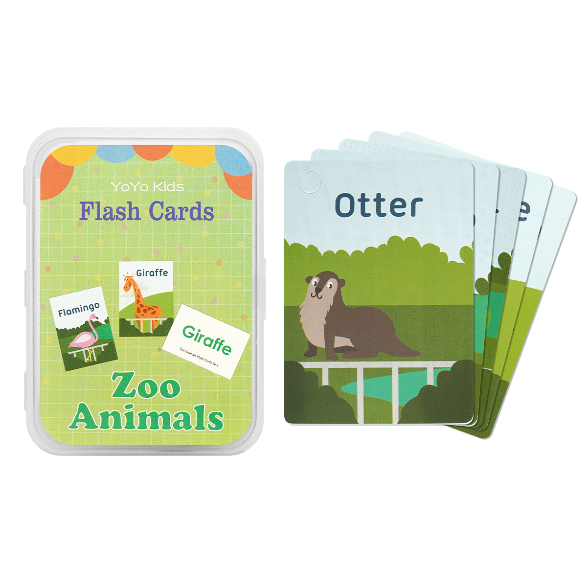 フラッシュカード 英語 10種 2個セット 英語カード モンテッソーリ