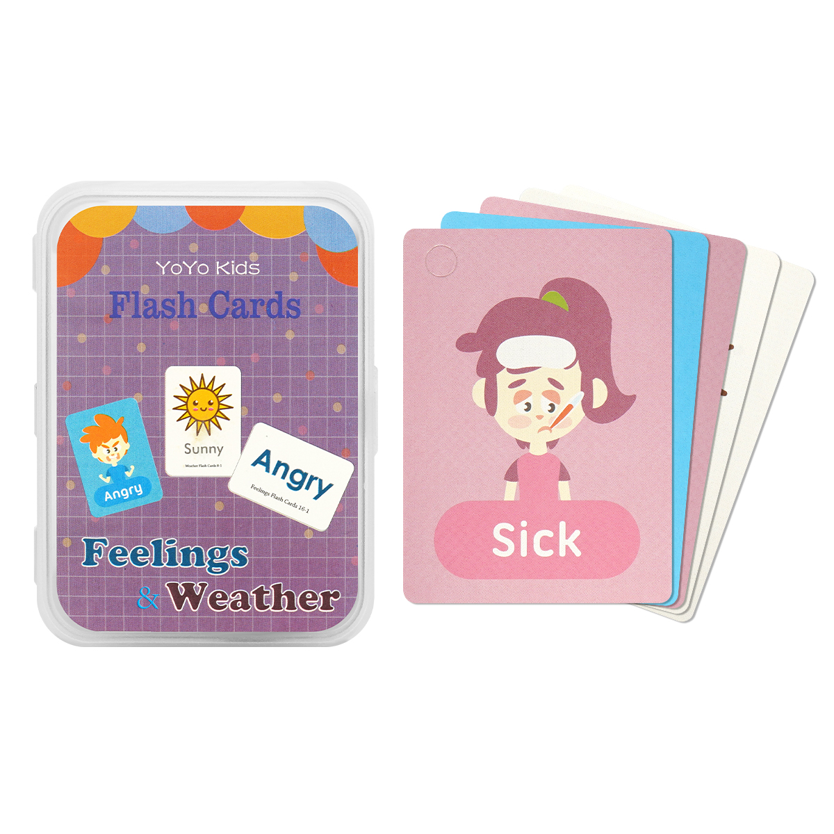 フラッシュカード 英語 10種 2個セット 英語カード モンテッソーリ