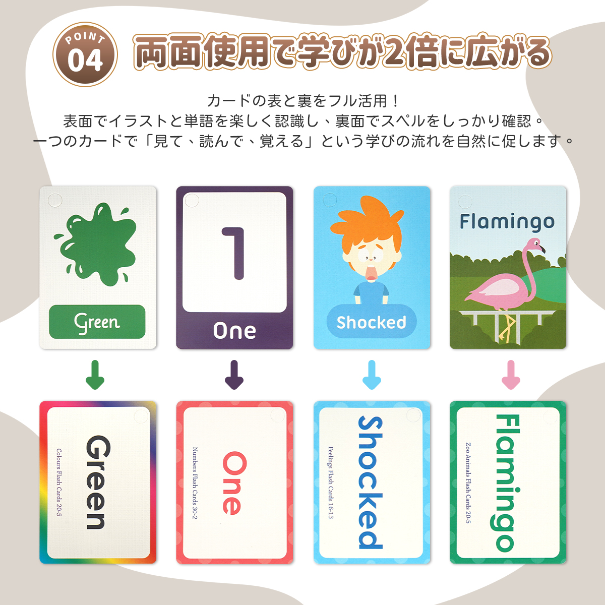 フラッシュカード 英語 10種 2個セット 英語カード モンテッソーリ
