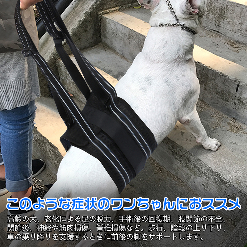 犬 ハーネス オファー 自在 通す