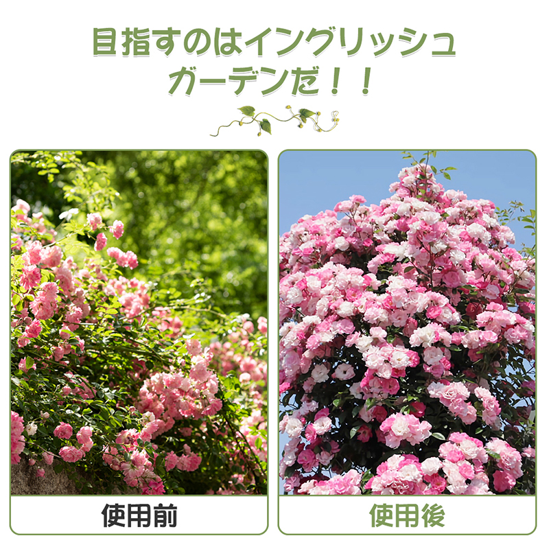 【雑誌掲載】オベリスク 支柱 ミニオベリスク ローズオベリスク 180cm*25cm 高さ調整可能 花 園芸用品 バラ 薔薇 オベリスクアーチ プランター おしゃれ 関連画像4