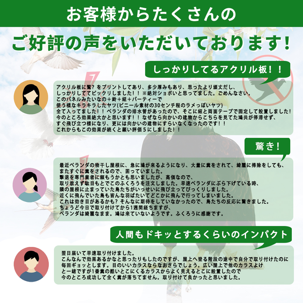 SENUN 鳥避けグッズ 鳩よけ 鳥よけグッズ 鳥よけ 鷹 たか フクロウ カラス撃退 ハト対策 スズメ・ツバメ 猫避け つばめ 屋外 ベランダ 果樹園 農作物 関連画像2