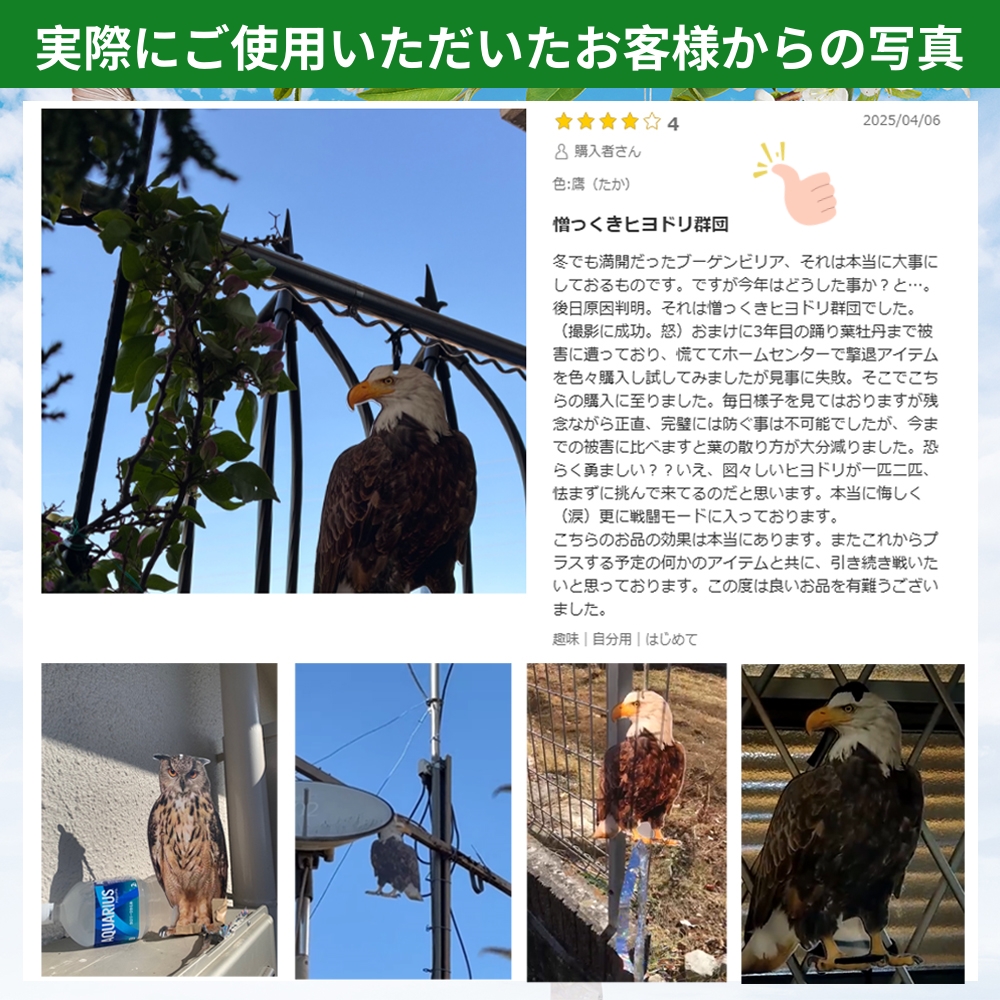 SENUN 鳥避けグッズ 鳩よけ 鳥よけグッズ 鳥よけ 鷹 たか フクロウ カラス撃退 ハト対策 スズメ・ツバメ 猫避け つばめ 屋外 ベランダ 果樹園 農作物 関連画像3