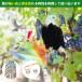 SENUN 鳥避けグッズ 鳩よけ 鳥よけグッズ 鳥よけ 鷹 たか フクロウ カラス撃退 ハト対策 スズメ・ツバメ 猫避け つばめ 屋外 ベランダ 果樹園 農作物 関連画像4