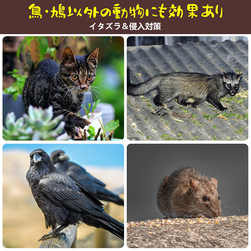 鳥よけ 鳩よけ とげ長め仕様 耐候性 自由カット 針が密集するとげ高め仕様 樹脂製 優れた耐久性 耐候性 カラスよけ 景観を損なわずフン害防止 ベランダ 屋上｜bestday｜06