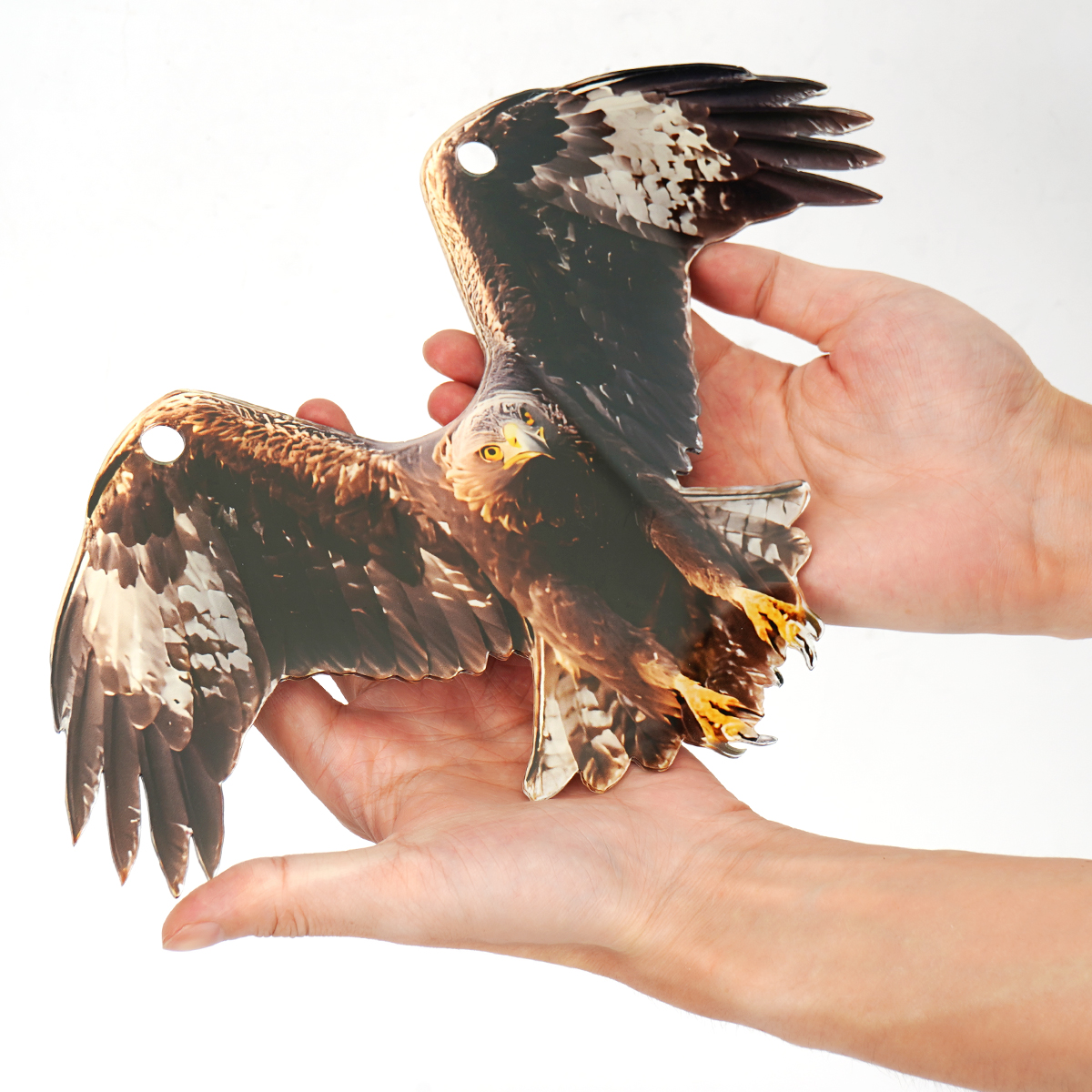 鳥よけグッズ 鳥避け 鳩よけ アクリル ベランダ 鷹 たか フクロウ