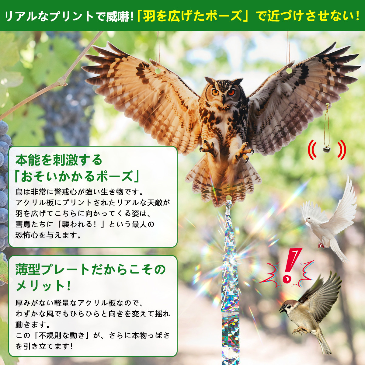 鳥よけグッズ 鳥避け 鳩よけ アクリル ベランダ 鷹 たか フクロウ