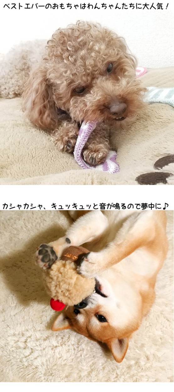 BESTEVER】【送料無料】パグ グッズ 4点セット 犬 Pug ぬいぐるみ