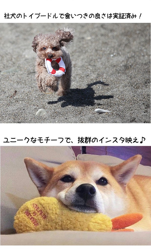 BESTEVER】【送料無料】パグ グッズ 4点セット 犬 Pug ぬいぐるみ