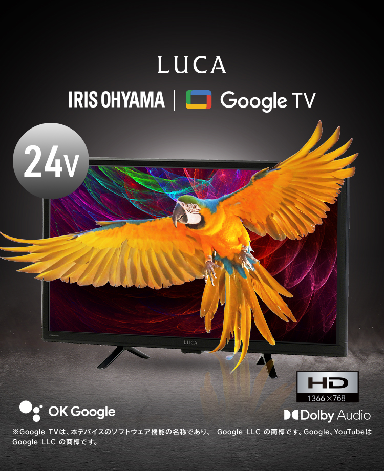 IRIS OHYAMA テレビ 液晶テレビ tv スマートテレビ 24v 型