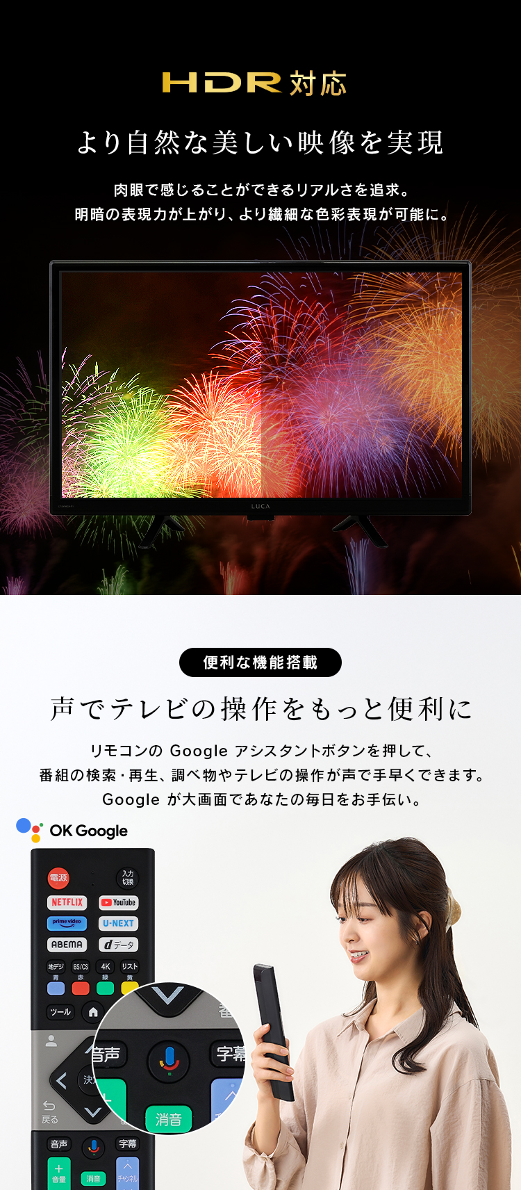 IRIS OHYAMA テレビ 液晶テレビ tv スマートテレビ 24v 型
