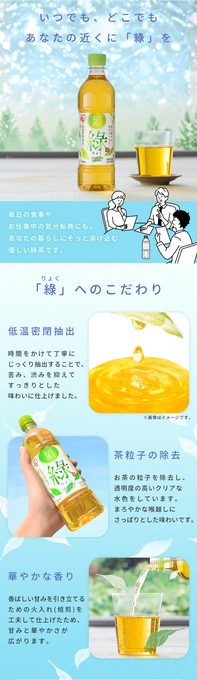 IRIS OHYAMA（アイリスオーヤマ） お茶 緑茶 ペットボトル 500ml 48本