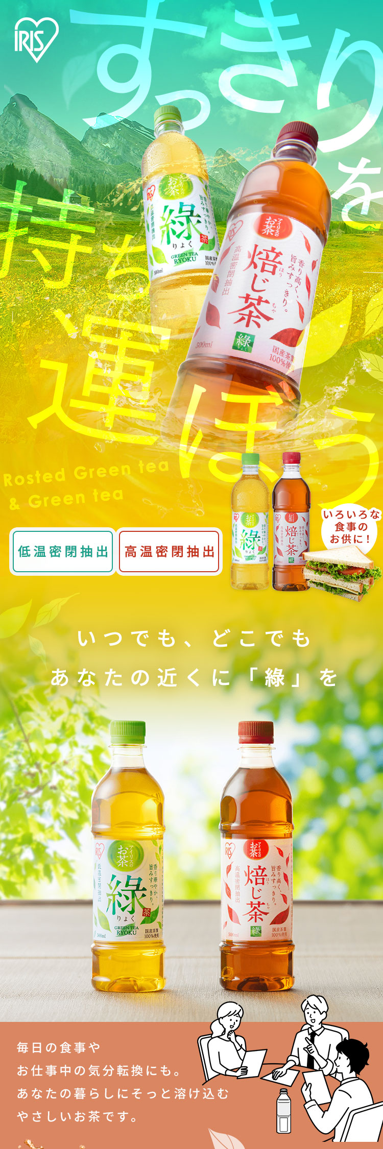 IRIS OHYAMA（アイリスオーヤマ） お茶 緑茶 ほうじ茶 ペットボトル