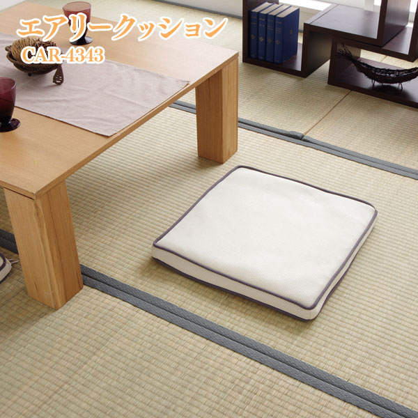 IRIS OHYAMA（アイリスオーヤマ） クッション 座布団 フロアクッション