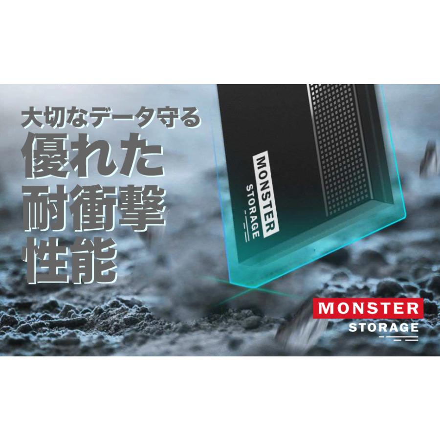 Monster Storage 2.5インチドライブケース 特長2