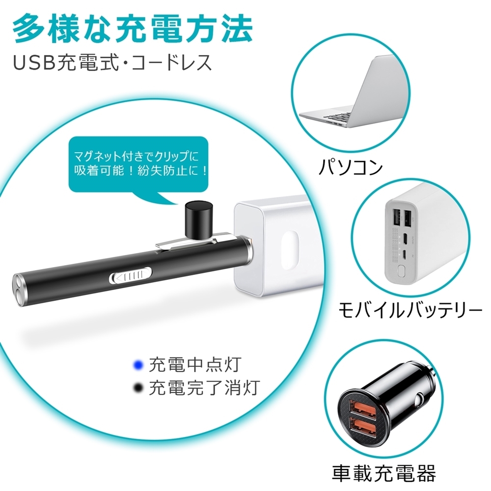 ペンライト 医療機器認証済 2色切替 医療 led ペンライト usb 充電