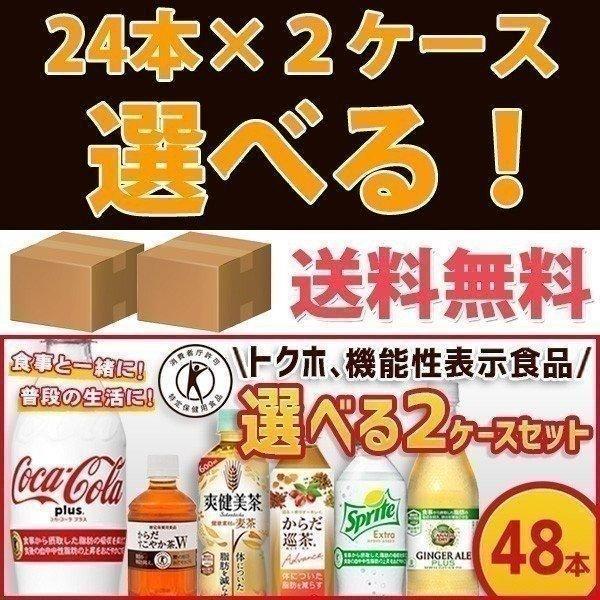 【最終値下げ】パラリンピック　デイピン2個セット DAY4、13コカ・コーラ コカコーラ パラリンピック デイピン 最終日 （デイピン 都