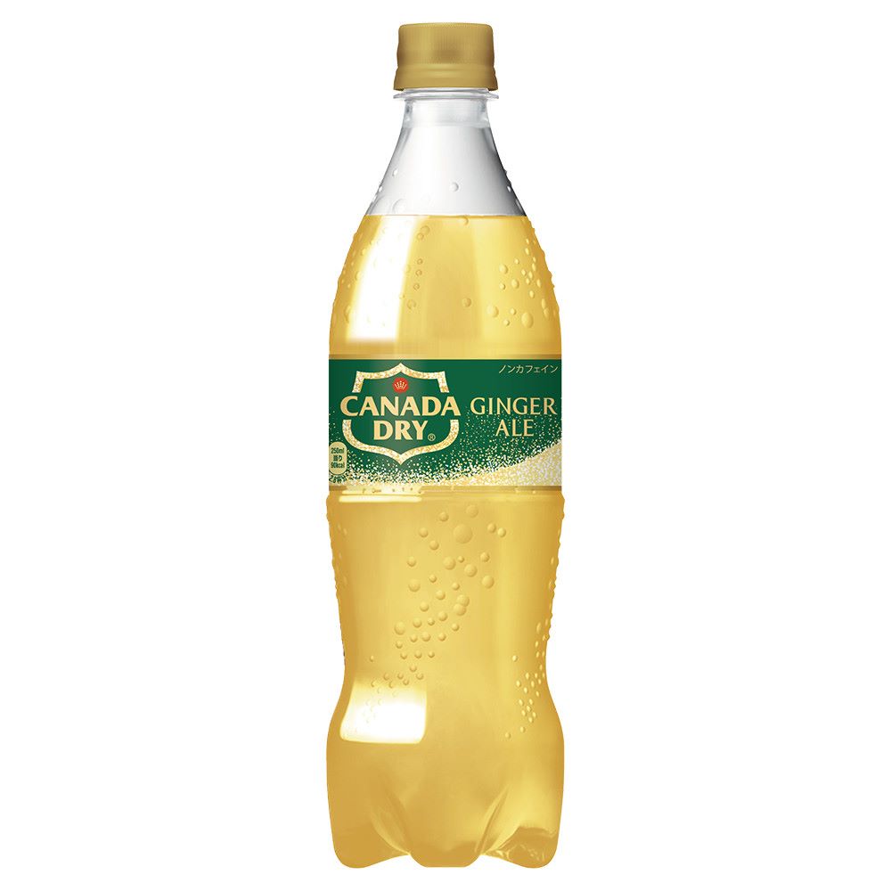 コカ・コーラ社製品 カナダドライ ジンジャーエール PET 700ml 1ケース