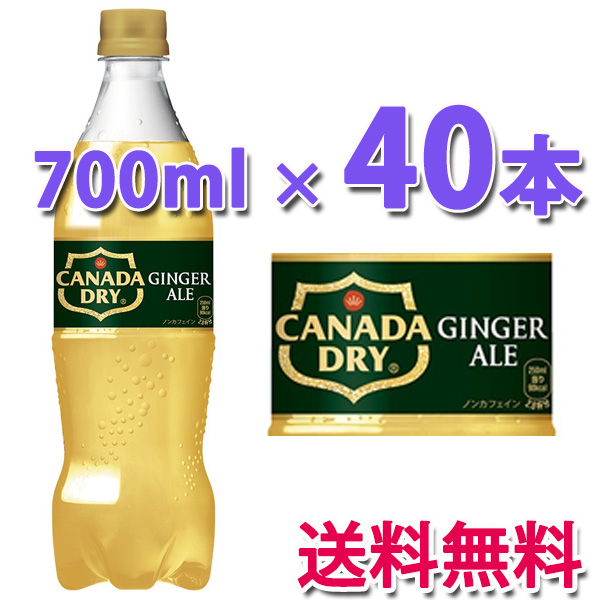 コカ・コーラ社製品 カナダドライ ジンジャーエール PET 700ml 2ケース
