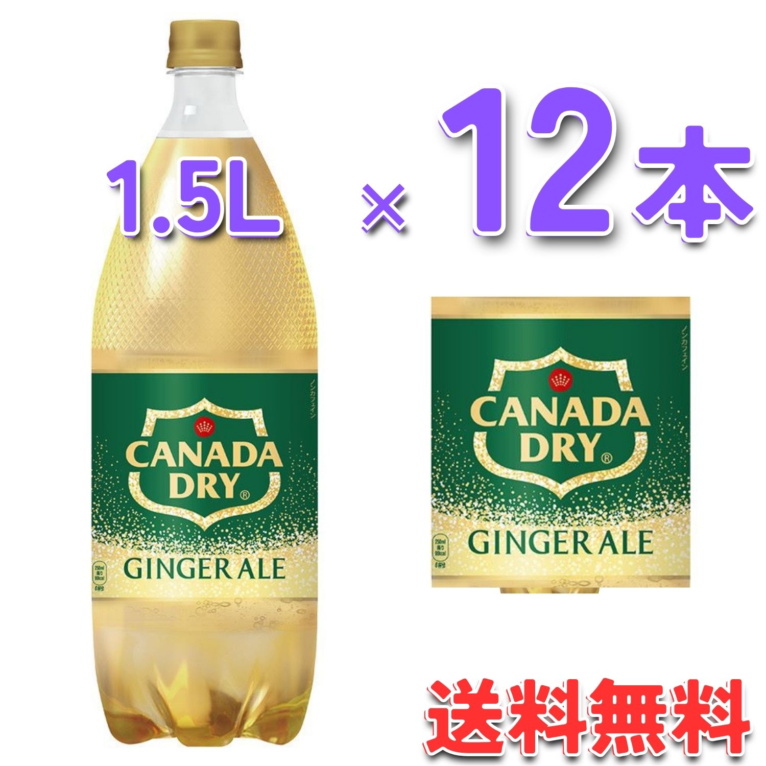 コカ・コーラ社製品 カナダドライ ジンジャーエール 1.5LPET 2ケース