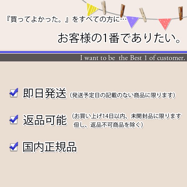 ナカバヤシパーソナルラミネーター A4サイズ HEL-02A4BK 送料無料