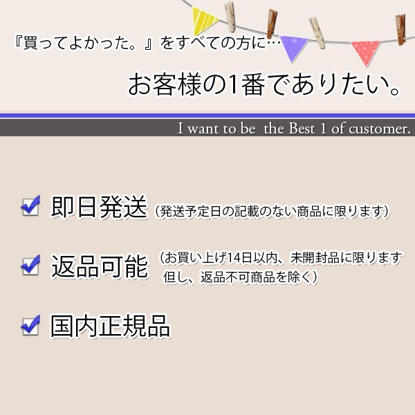 日本アンテナ 3.2GHz(4K 8K放送)に対応 利得切換式屋外用電源着脱型