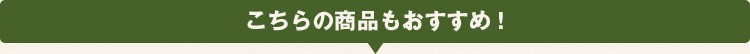 こちらの商品もおすすめ