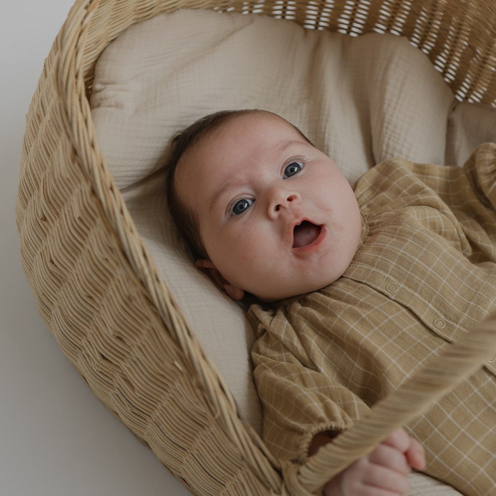 ワンジー ベビー オーガニックズー Organic Zoo Grid Check Onesie 