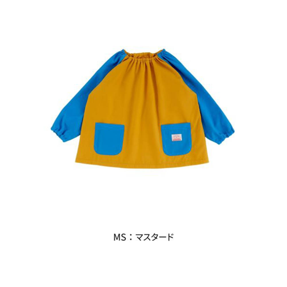 V3