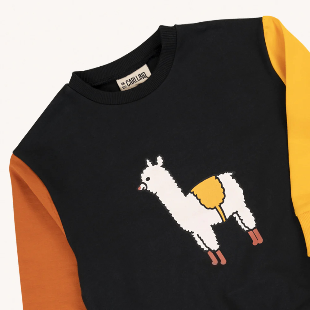 トレーナー ベビー キッズ CarlijnQ Basic sweater with print 総柄