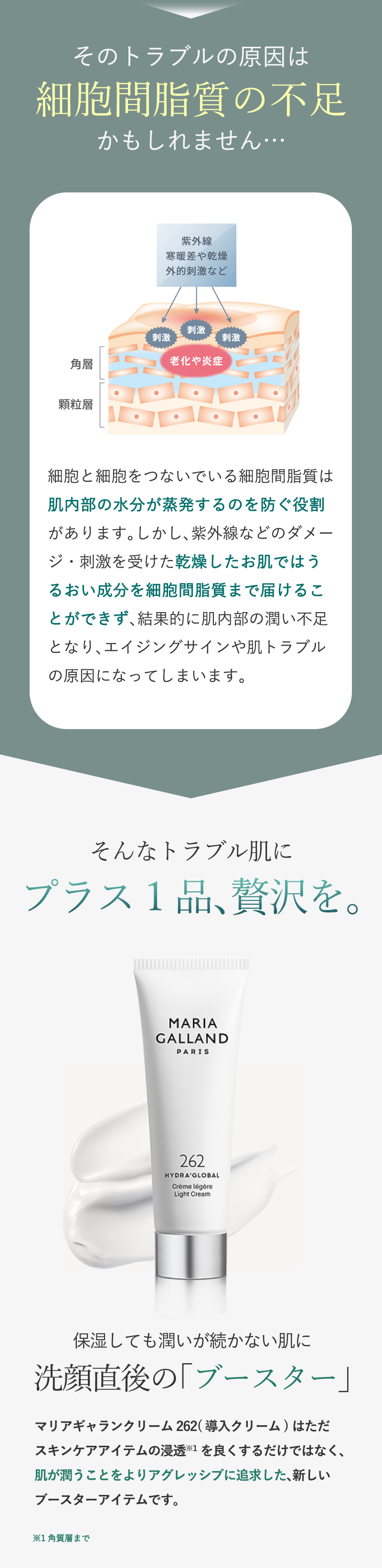 マリアギャラン 262 クリーム 96A後継品 国内正規品 ブースター化粧品 導入美容液 保湿 美容クリーム オールシーズン MARIA  GALLAND 50mL スキンケア : maria-galland-96a : コスメ&ビューティー 美way - 通販 - Yahoo!ショッピング