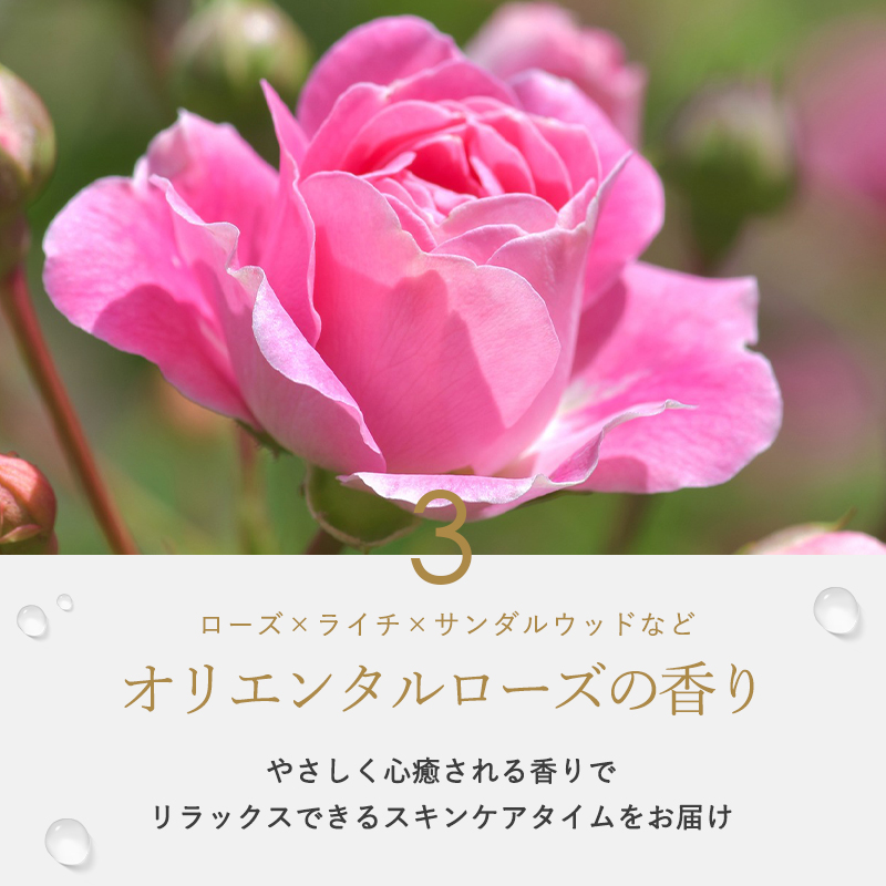 MARIA GALLAND（マリアギャラン） お取り寄せ マリアギャランクリーム