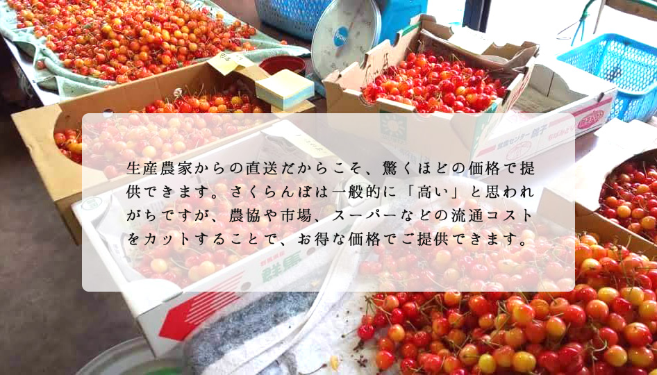 雑貨まとめ売り❤️100サイズ❤️詰め放題 Amazon.co.jp: YHANEC開かない貯金箱 貯金箱 おしゃれ 全透明