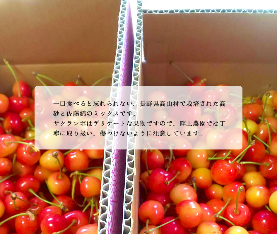 さくらんぼ 高砂+佐藤錦ミックス 200g×3パック : 全国お取り寄せ