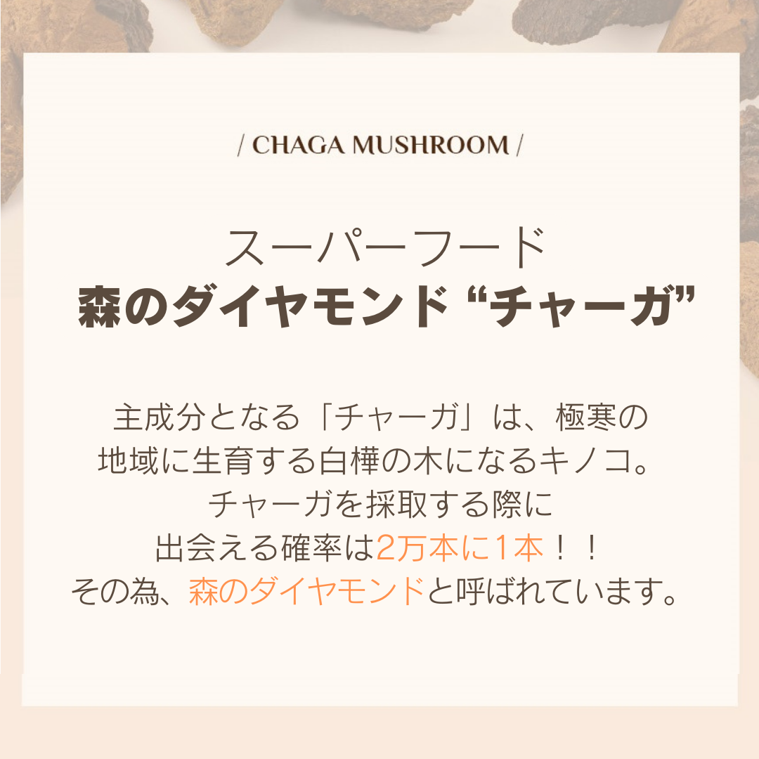 75％オフ）（贅沢パック 5枚セット）チャーガウォータージェル