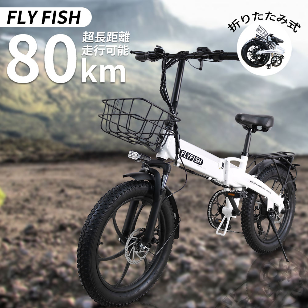 FLY FISH 電動自転車 公道走行可能 電動アシスト自転車 20インチ