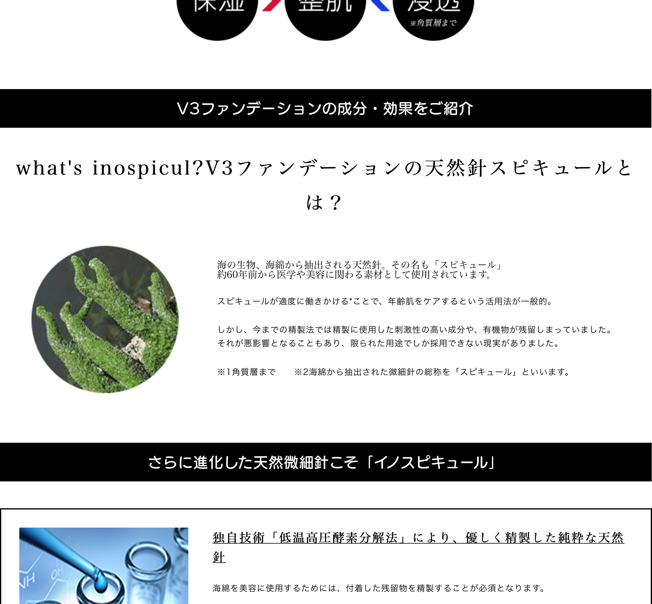 正規品 スピケア V3 エキサイティング ファンデーション v3ファンデーション 本体 v3 ファンデ 針 ファンデーション 韓国コスメ 送料無料