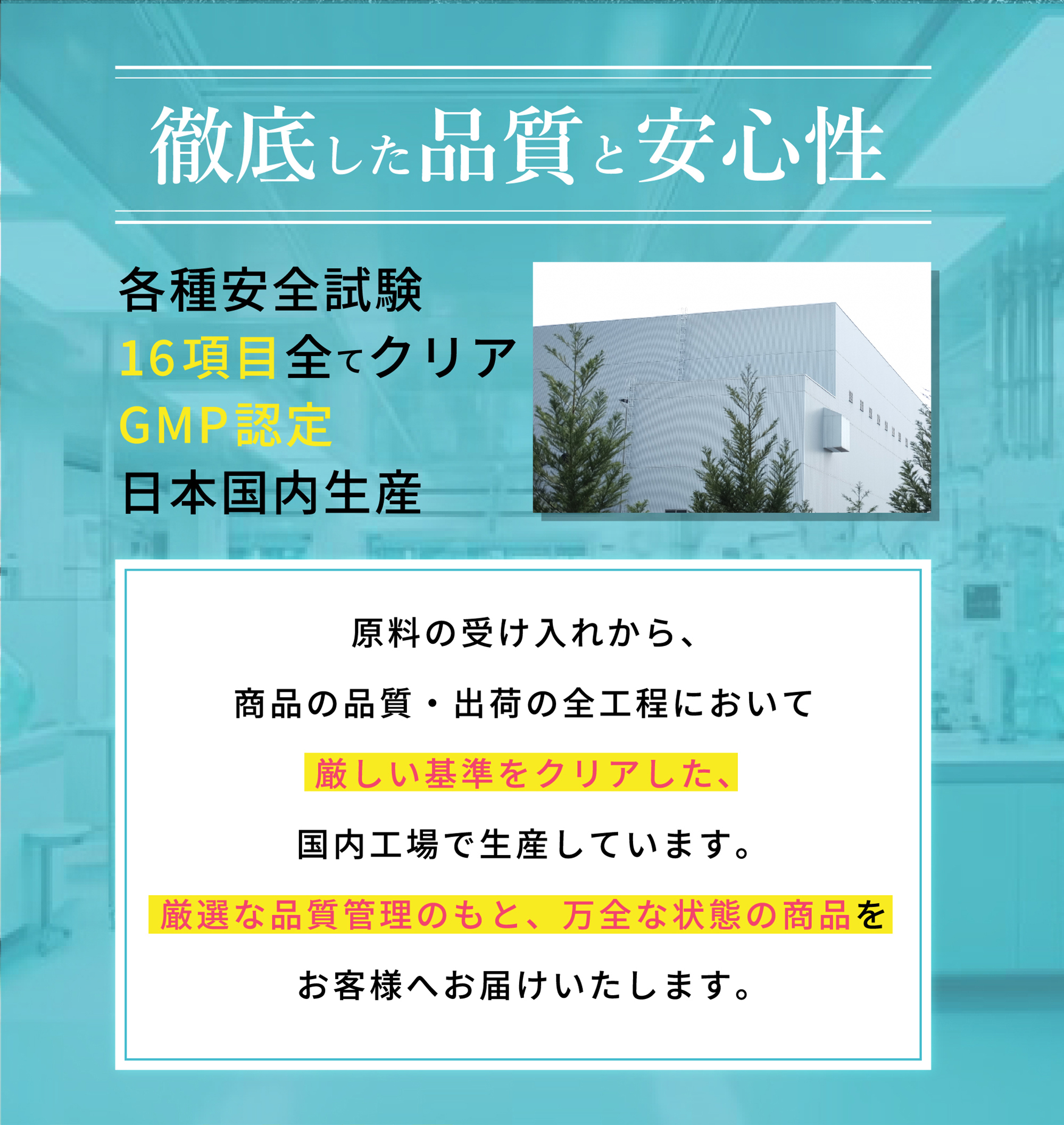 二日酔い対策