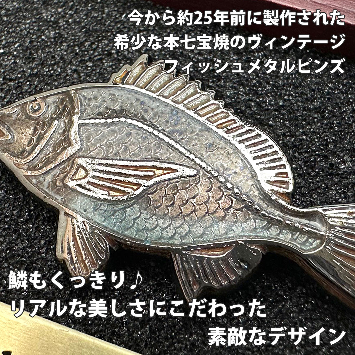 魚ピンズ クロダイ 黒鯛 本七宝 ビンテージ フィッシュ ピンズ Vintage Fish Pin's 海水魚 ピンバッジ 釣り 【AZ】 :  k-azk-p-kurodai : ビーハートYahoo!店 - 通販 - Yahoo!ショッピング