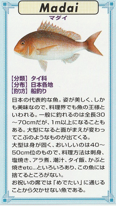 魚ピンズ マダイ 真鯛 本七宝 ビンテージ フィッシュ ピンズ Vintage