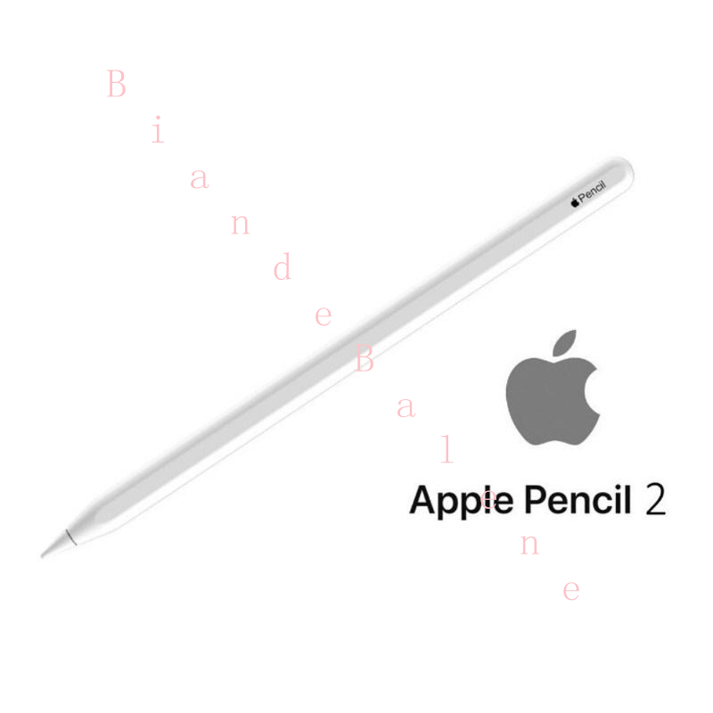 オンラインショップ】 Apple純正品 アップル Apple Pencil 第2世代
