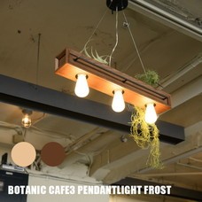 botanic Cafe3pendantlight frost Artemide