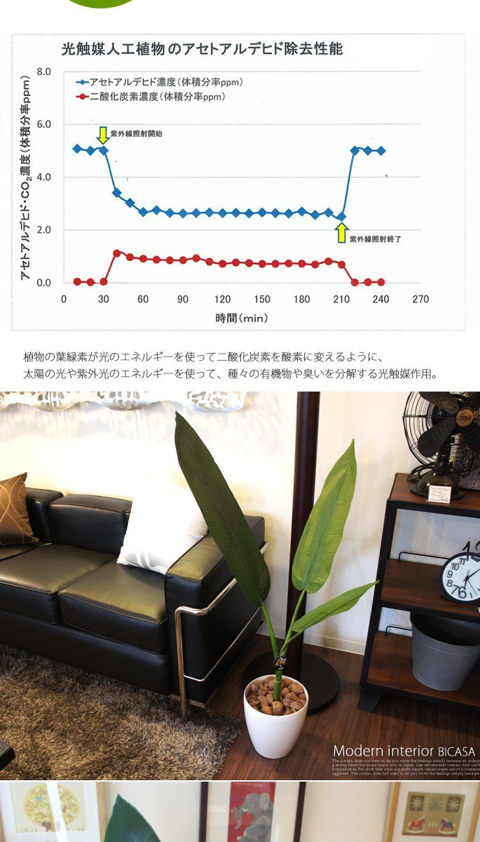 トラベラーズパーム110 光触媒 イミテーショングリーン : b052-028-001