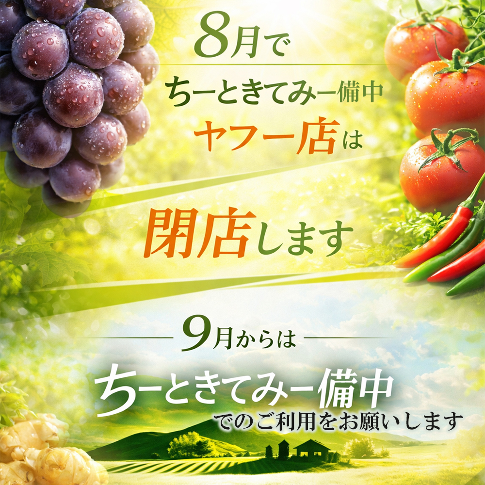 令和7年産 菊芋チップス 天空 100g チャ...の詳細画像1