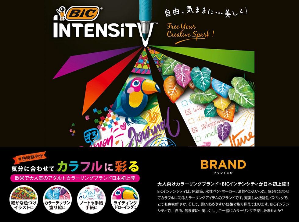 BICジャパン公式 Yahoo!ShoP - Intensity｜Yahoo!ショッピング