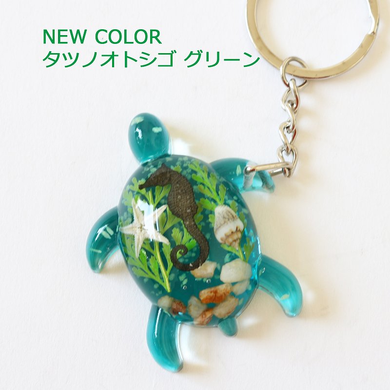 キーホルダーHawaii イルカタツノオトシゴ貝アクリル