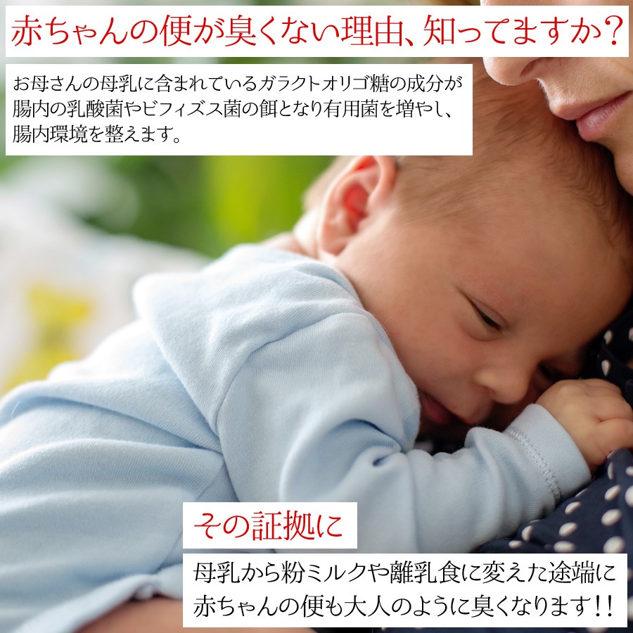 訳あり 送料無料 オリゴ糖 菌活 腸内細菌改善 乳酸菌 腸内環境 母乳 乳糖 腸内フローラ シンバイオティクス ビフィズス菌 乳酸菌 ガラクトオリゴ糖 500g 1010 ビックヤマト 通販 Yahoo ショッピング
