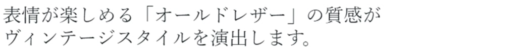 エクストラ シートカバー フロントセット