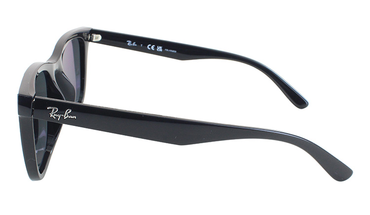 Ray-Ban レイバン 偏光サングラス RB4391D 601/81 65 大きめ